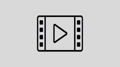 動画を見る